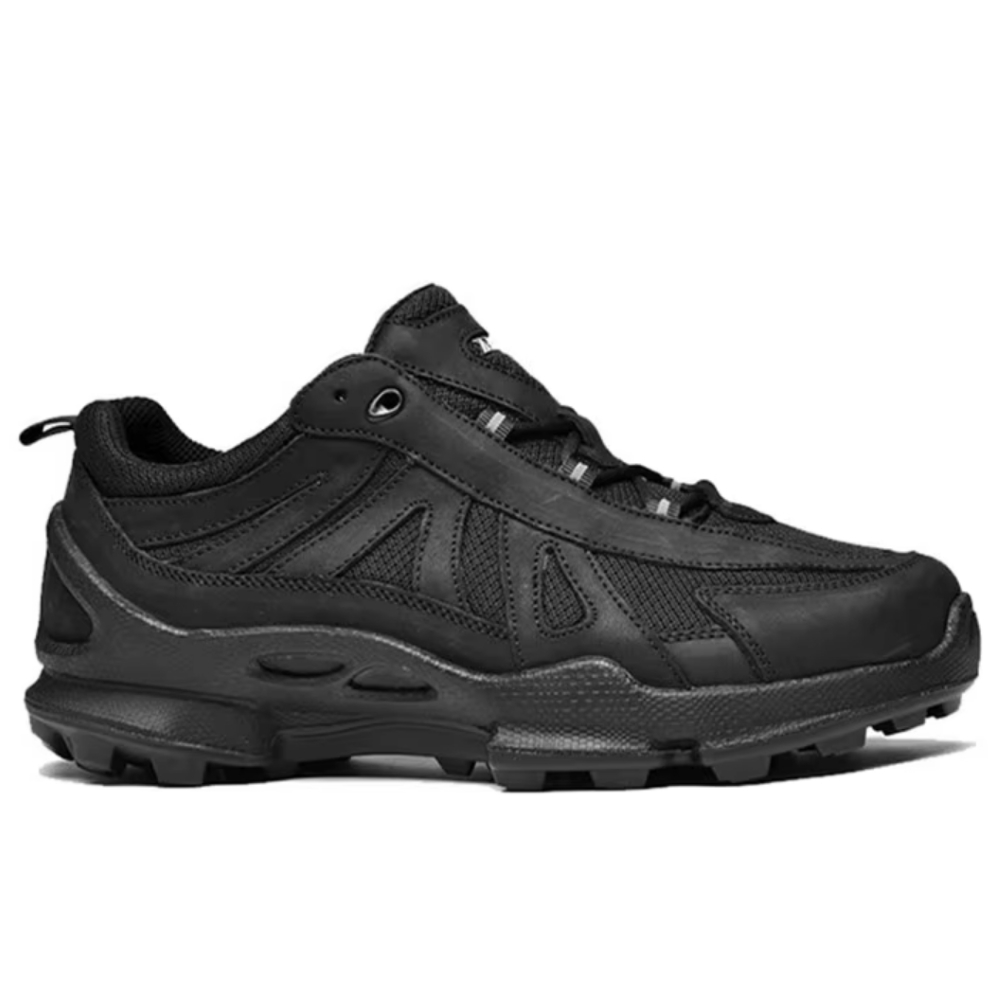 أحذية المشي لمسافات طويلة الفا - مراجعة Men'S Shoes Japanese Brand وسعره
